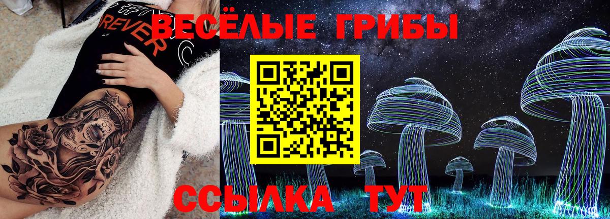 Галлюциногенные грибы Psilocybine cubensis Благовещенск